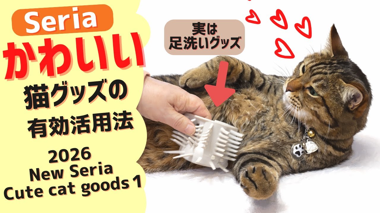 【100均】2026年、セリアの便利な猫グッズ購入品を紹介　2026: Introducing Seria's Handy Cat Goods Purchases　#セリア　#DAISO