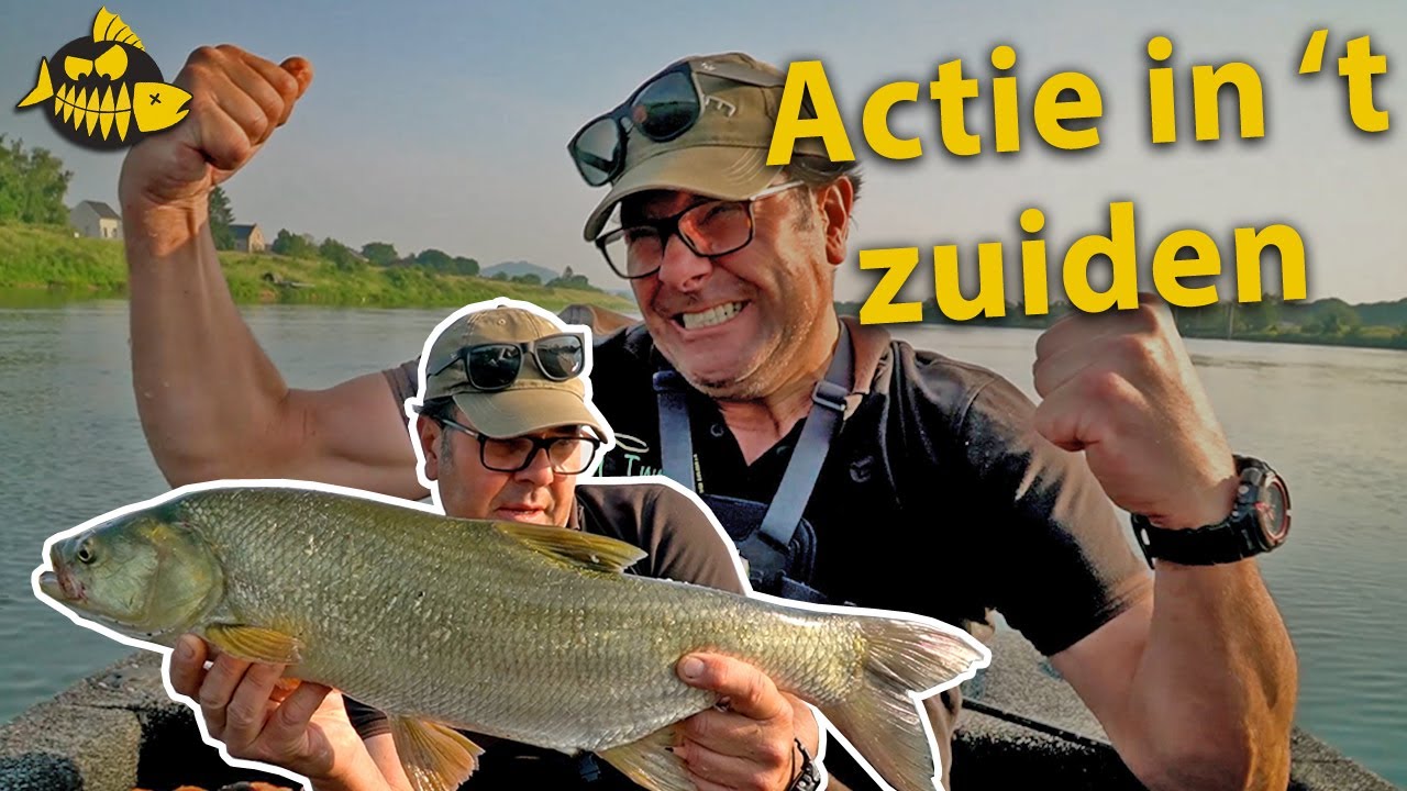 Snoeiharde roofblei aanbeten & chirurgie op het water