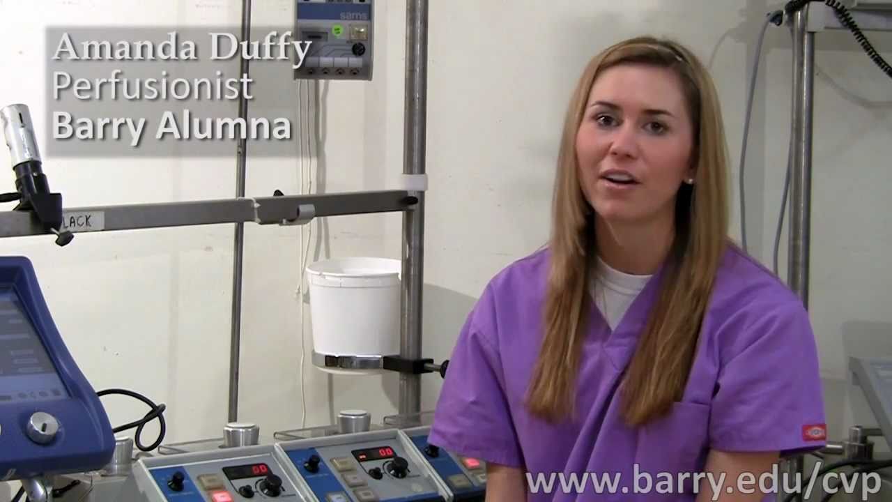 Cardiovascular Perfusion (CVP) Program Overview