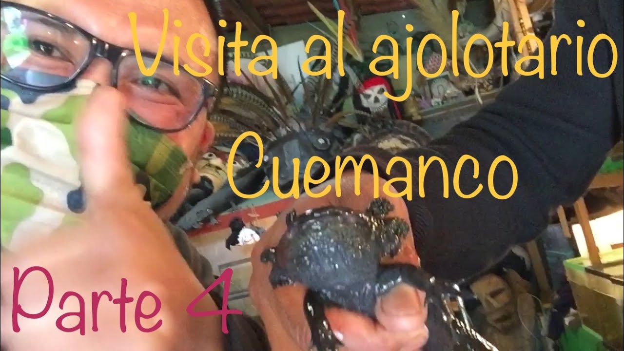Visita al ajolotario Cuemanco parte 4.