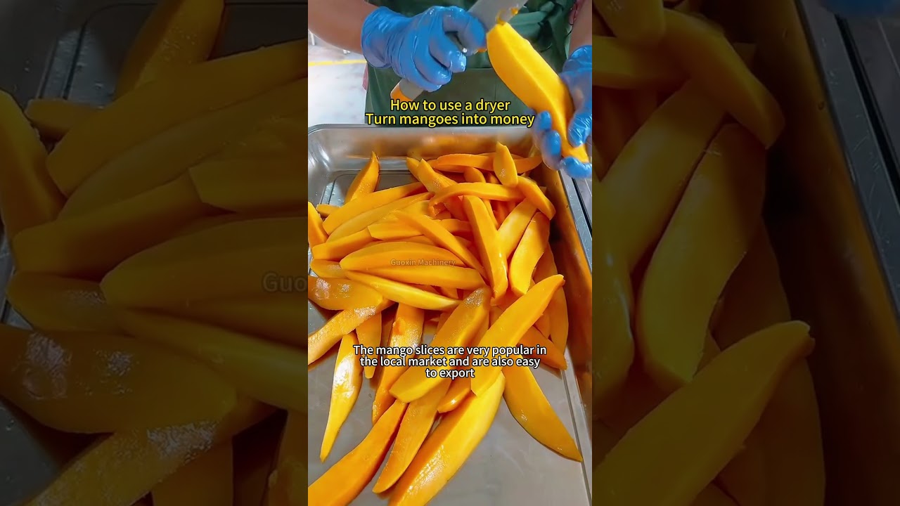 How to make dried mango with dryer to create wealth #mango #cassavadryer #tomatodryer #oniondryer