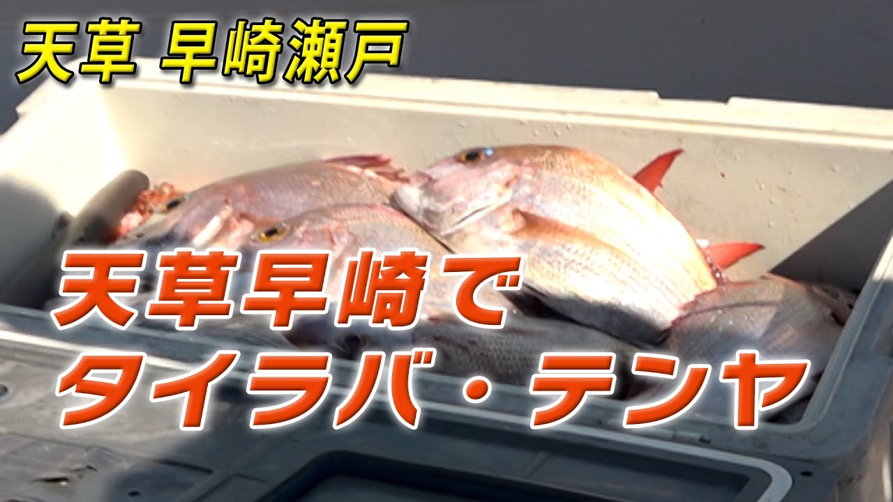 有明海 早崎 タイラバテンヤ