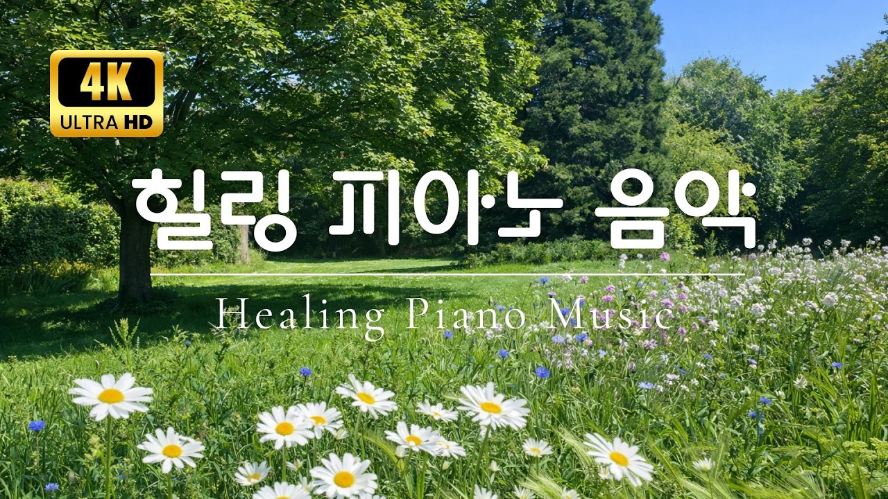 힐링 피아노 음악 🌿 상쾌한 아침을 여는 아름다운 명상 피아노 4K