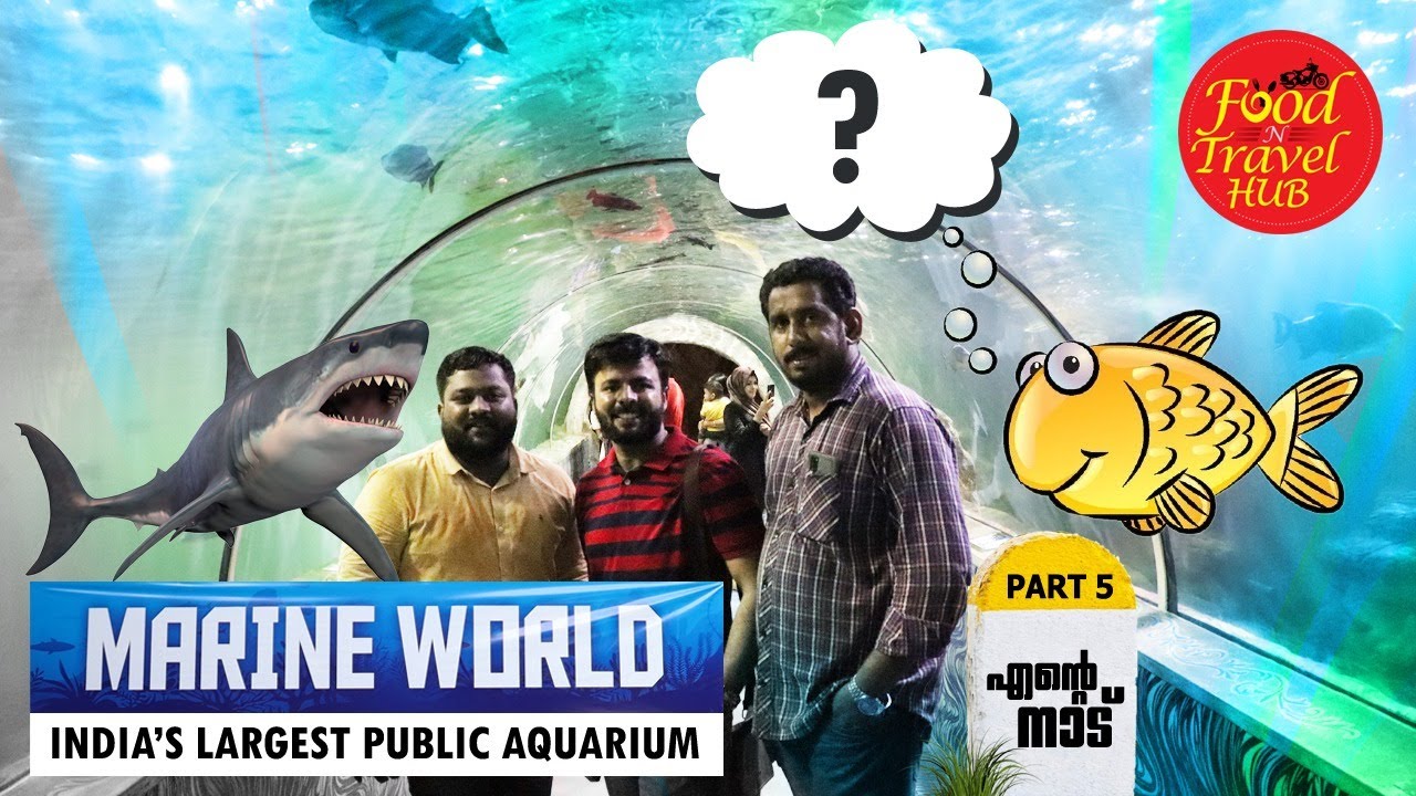 Marine World | India's largest public aquarium |               #marineworld #chavakkad #aquarium