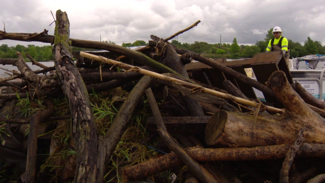 On The Job – Lake Cleanup Crew