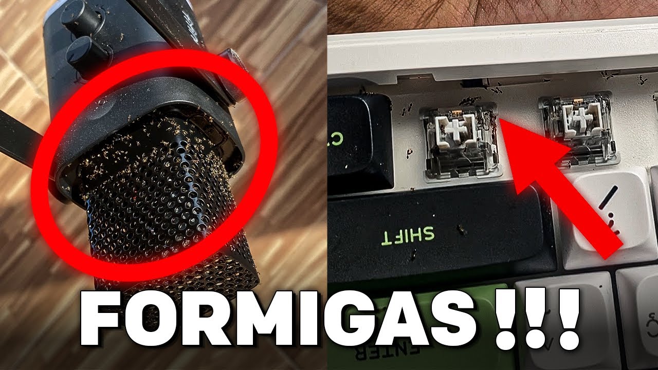 PERDI meu SETUP NOVO  por causa das FORMIGAS!! | destruíram meu microfone e teclado