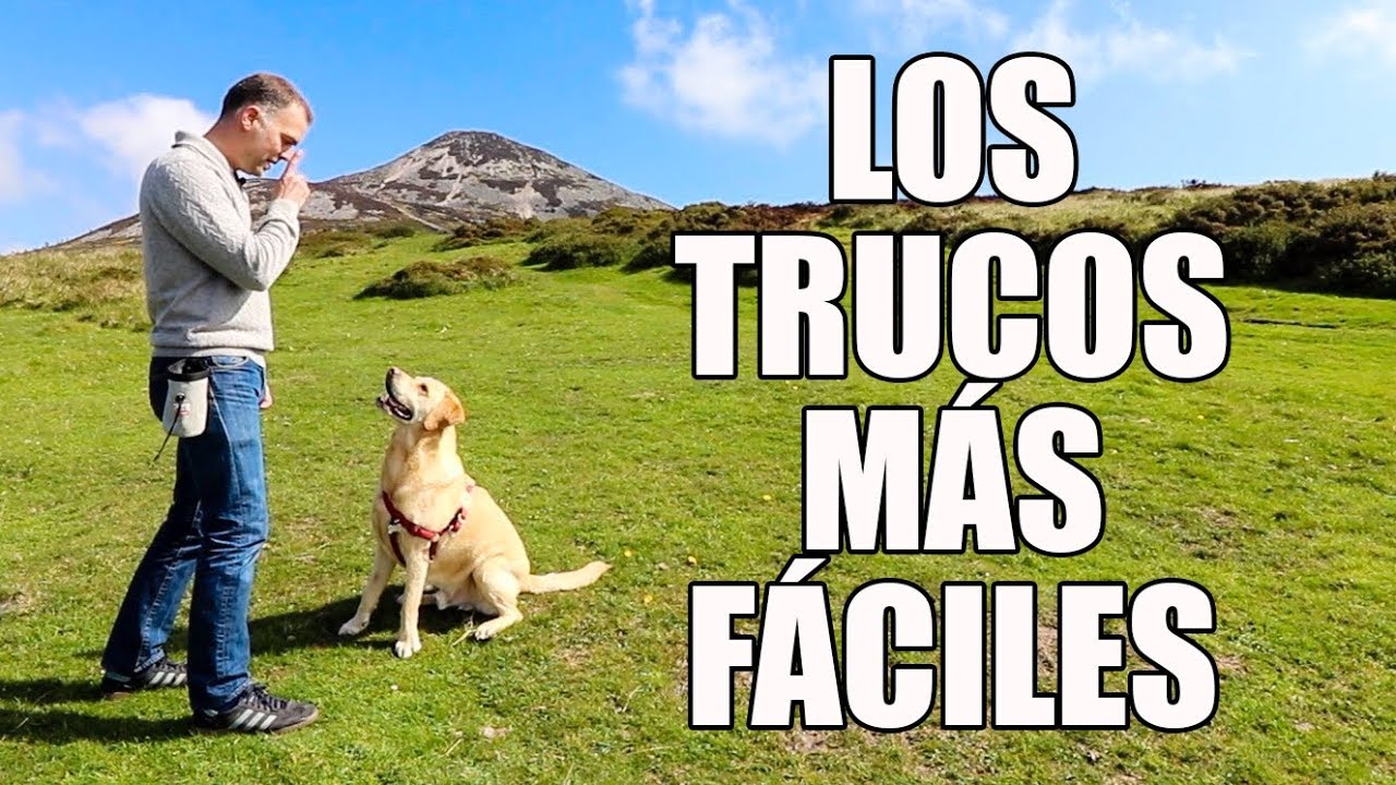Adiestramiento Canino - Trucos SENCILLOS para Enseñar a tu Perro