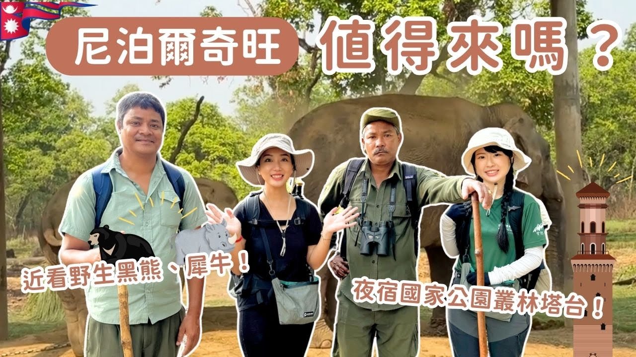 🇳🇵尼泊爾奇旺｜值得來嗎？近看野生黑熊、犀牛，夜宿國家公園叢林塔台，是什麼樣的體驗？ 🐘🦏🐊🦚🦌🐻🦅🐒 