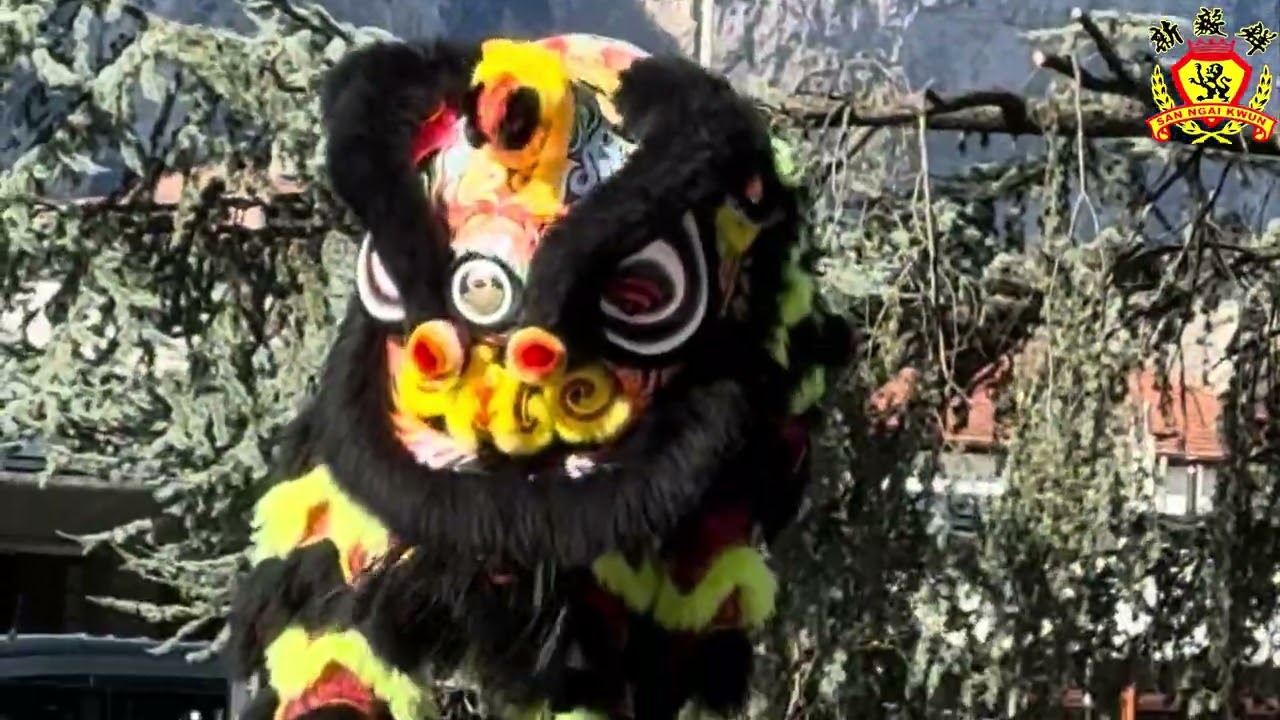 Acrobatic Lion Dance in Trento (IT) 
