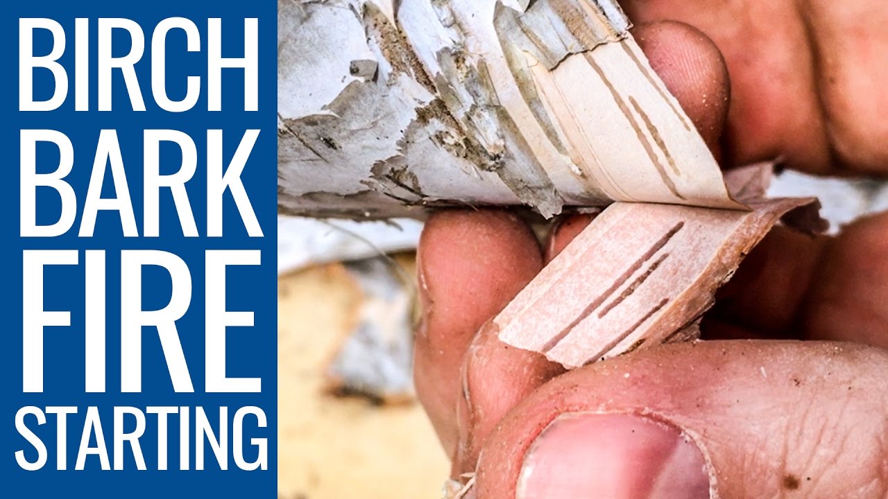 Birch Bark Fire Making 101 - My Favourite Bushcraft Fire Making Technique