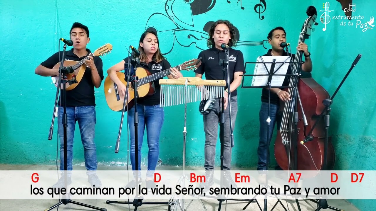 Vienen con alegría (Canto de entrada)