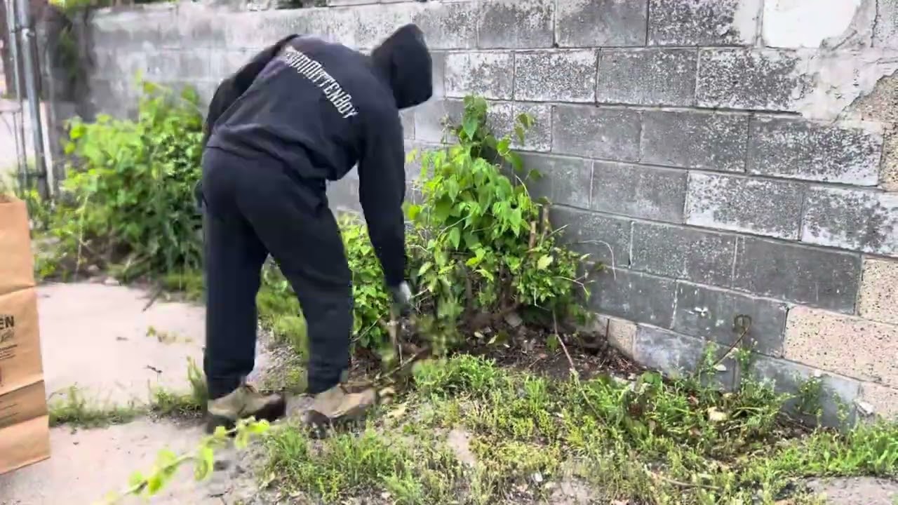 Yard Overhaul: Mowing Lawns, Trimming Bushes, and Clearing Trash [Timelapse](prod. @BEATSBYSAV)