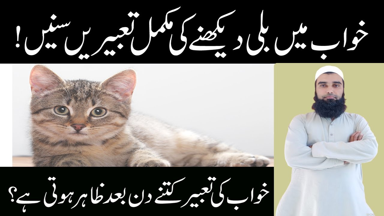 Khwab Mein Billi Dekhne ki Tabeer | Khwab Mein Cat Dekhna | Khwab Mein Billi Dekhna in Urdu/Hindi