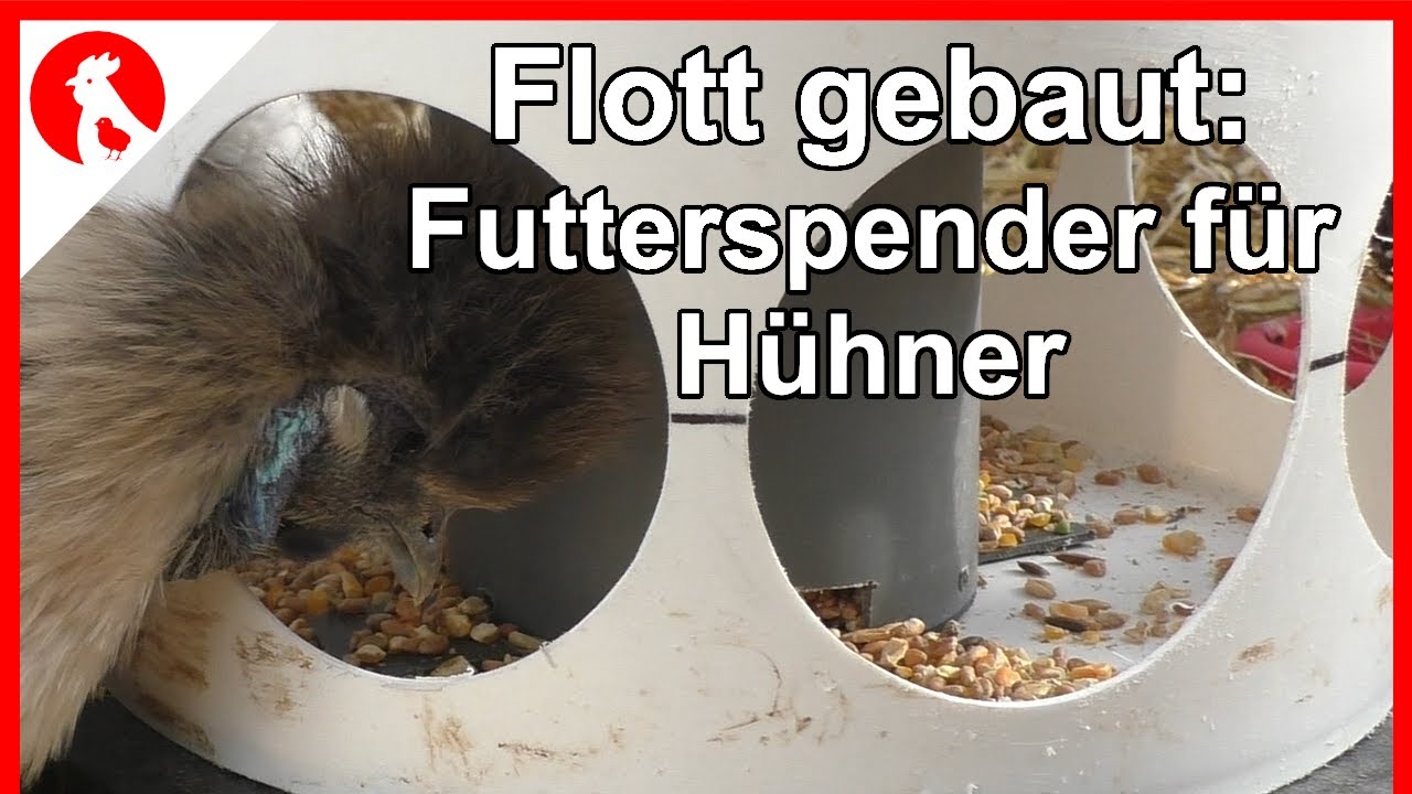 F164 H&uuml;hner Futterspender flott gebaut aus Eimer + HT-Rohr DIY -  Jensman and the Huhns