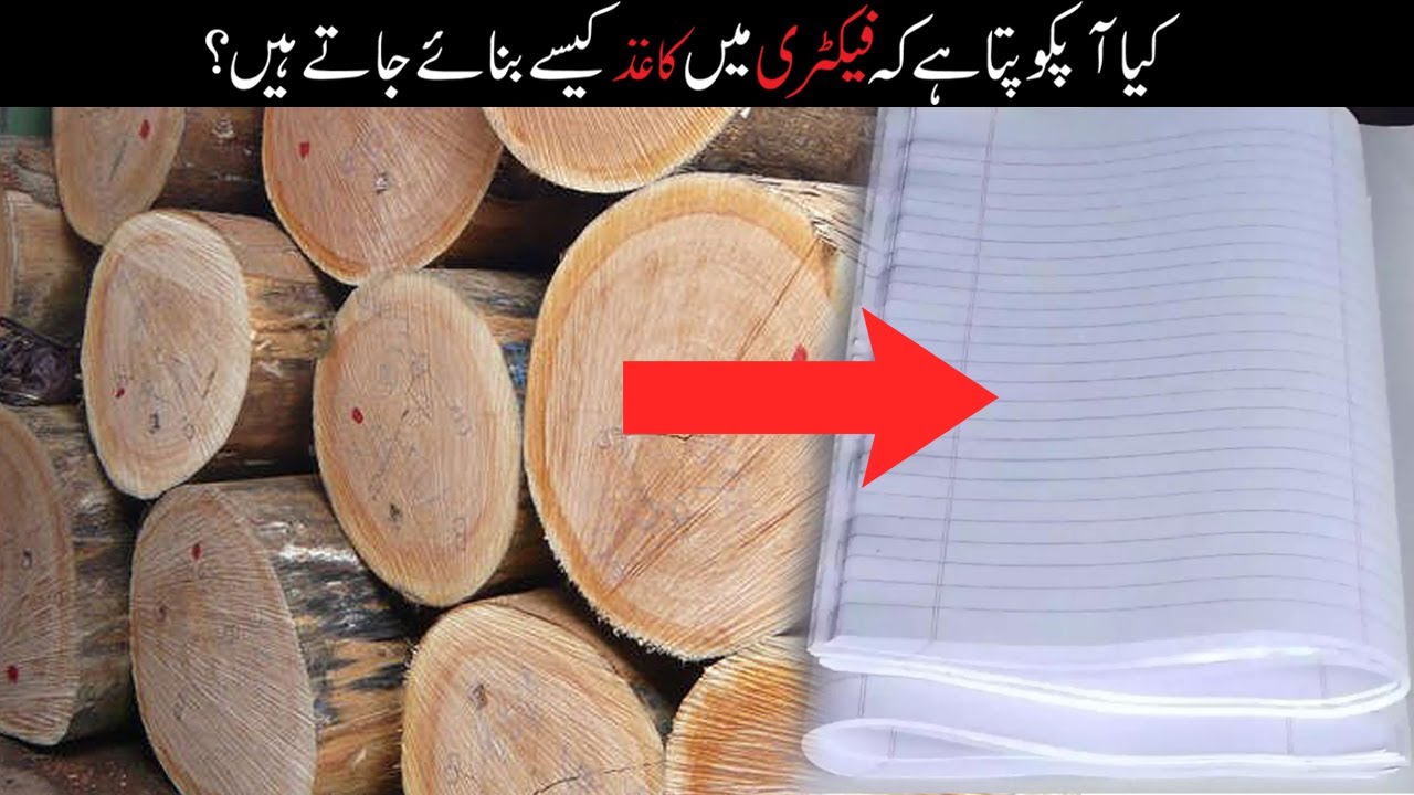 How paper are made in Factory? (Urdu/Hindi)