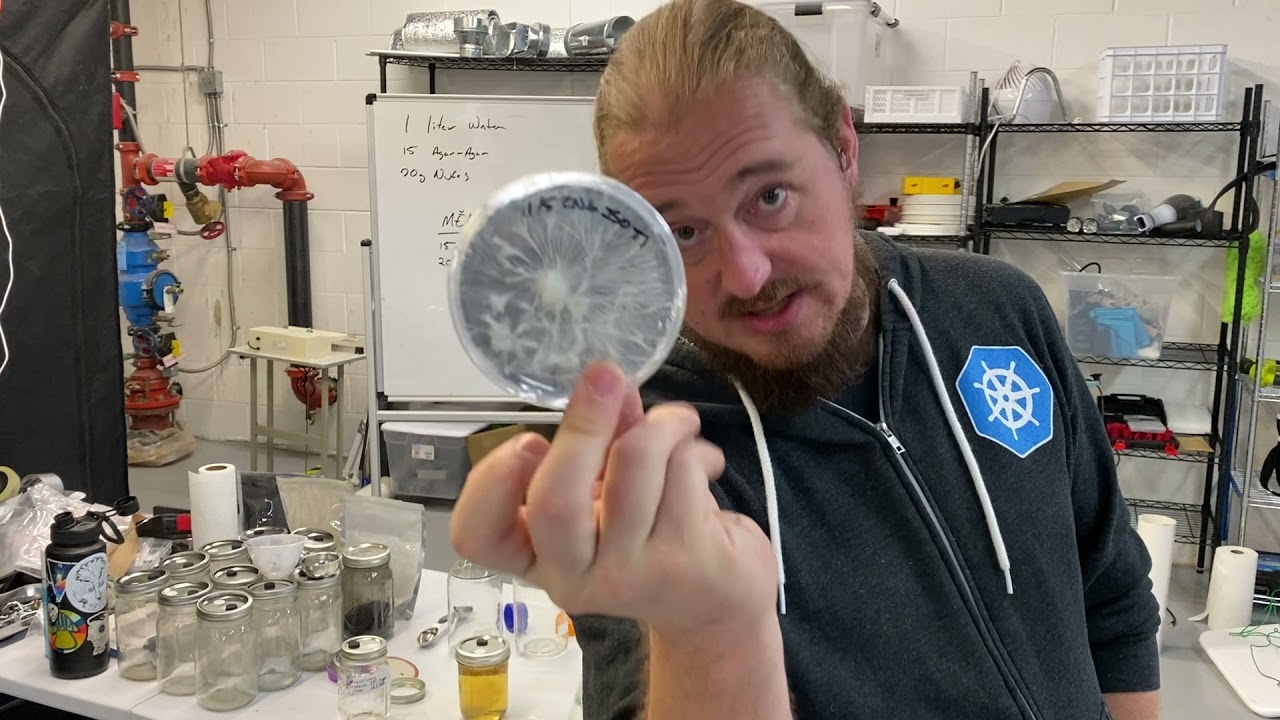 Agar & Cultures Part 2: MEA and Antibiotic Agar remix