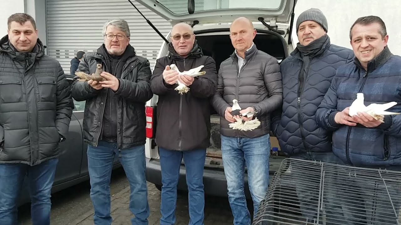 Германия,  ярмарка голубей г.Weilburg,26.01.25.часть 2