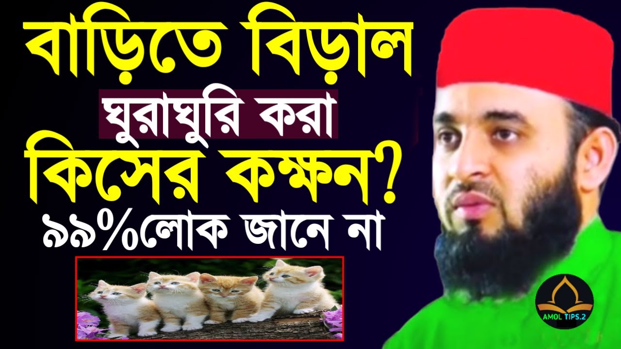 বাড়িতে বিড়াল ঘুরাঘুরি করা কিসের লক্ষন? ৯৯% লোক জানে না । মিজানুর রহমান আজহারীMar 13, 20268:45 PM