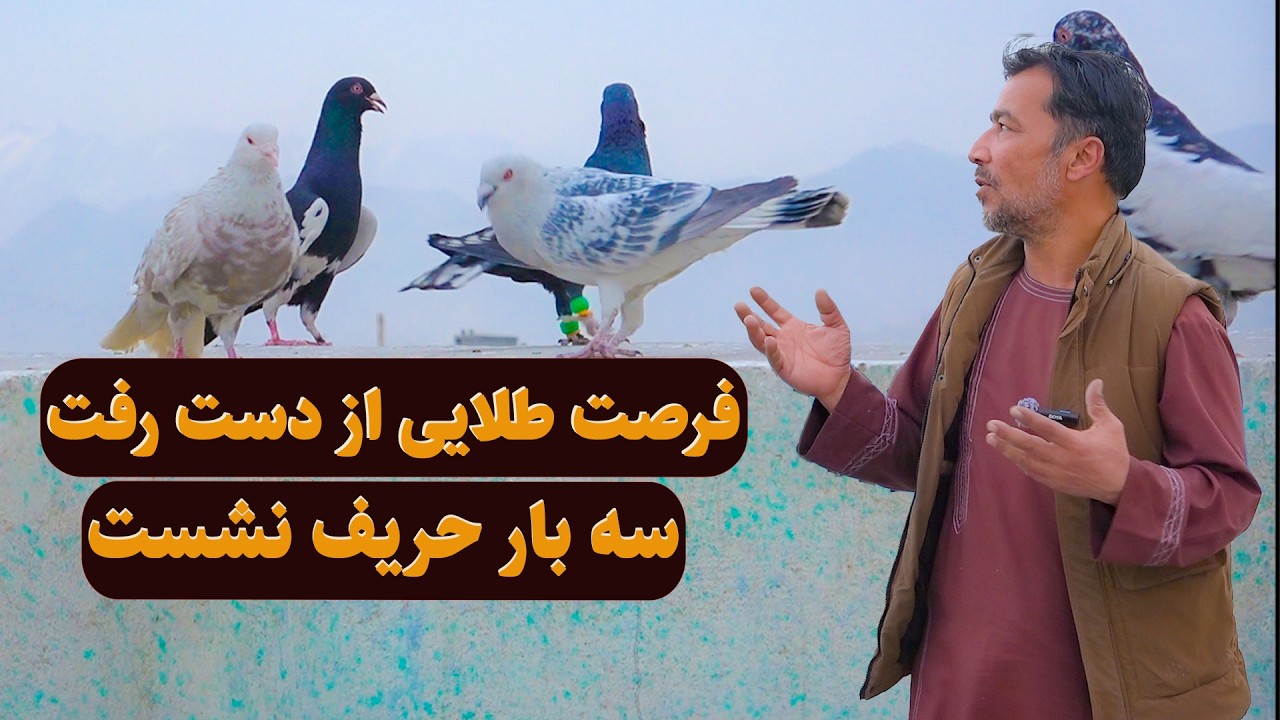 0463 / فرصت طلایی از دست رفت سه بار حریف نشست / Afghan Shawqi