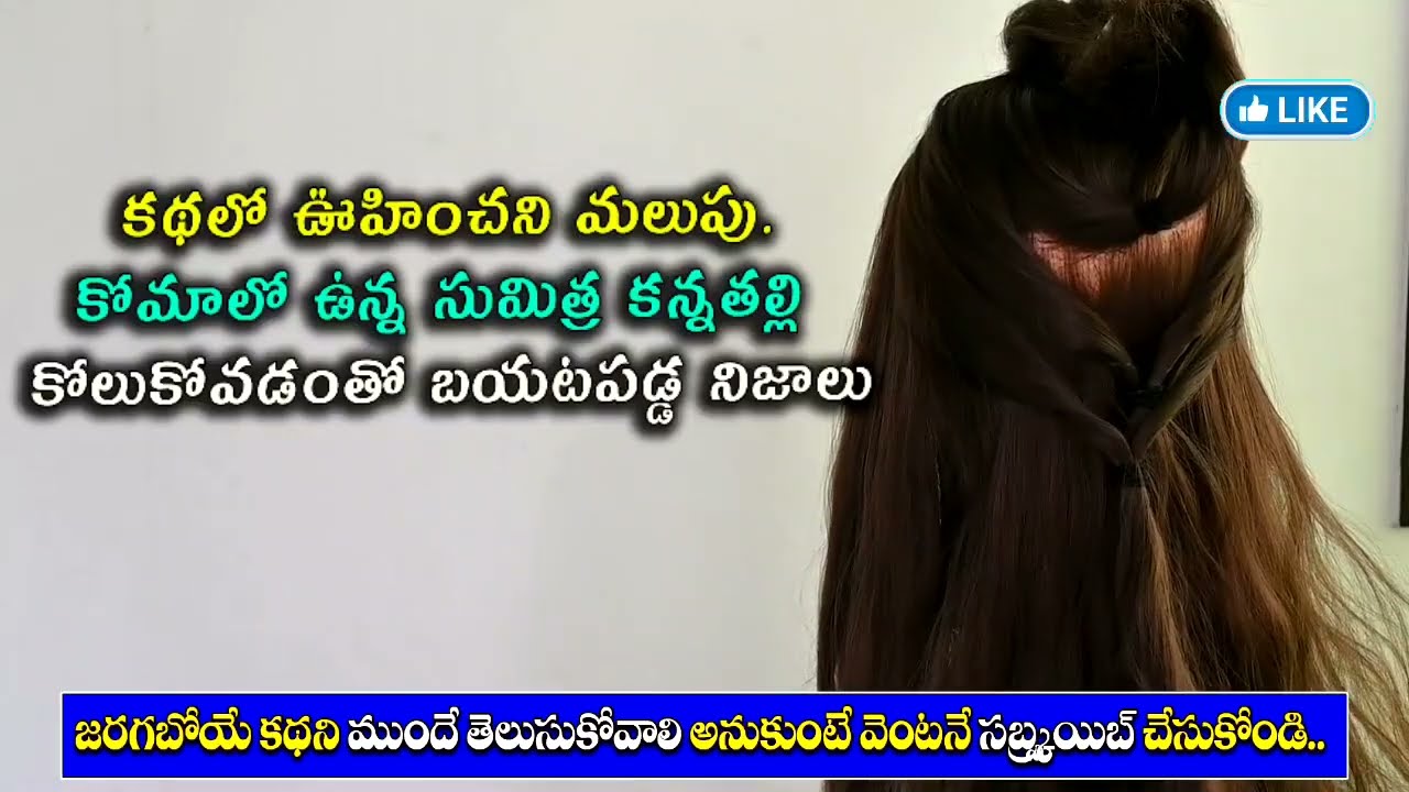 Karthika Deepam Serial Review కోమాలో ఉన్న సుమిత్ర కన్నతల్లి కోలుకోవడంతో బయటపడ్డ నిజాలు