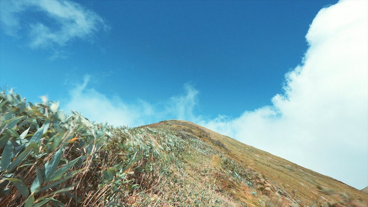 EVISBEATS『That's Life』