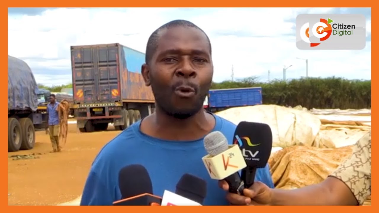 Mahindi yaendelea kuzuiliwa katika mpaka wa Kenya na Tanzania huku bei ya unga ukiendeleaku paa