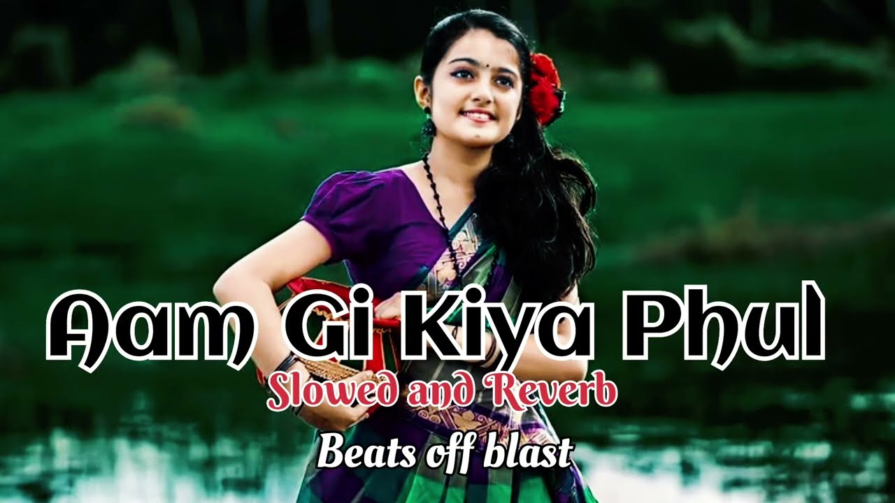 Aam Gi Kiya Phul।।Slowed and Reverb।। New Santali Cover Song 2026।। Beats off blast🎶
