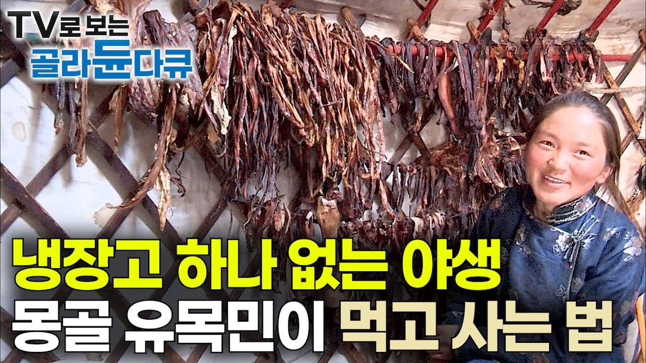 영하 50℃ 겨울 끝났다. 냉장고 하나 없는 몽골 대초원 한복판에서 몽골 유목민이 먹고 사는 법｜지구상 최후의 유목민｜야생 오지 유목민의 사냥과 음식｜인류원형탐험｜#골라듄다큐