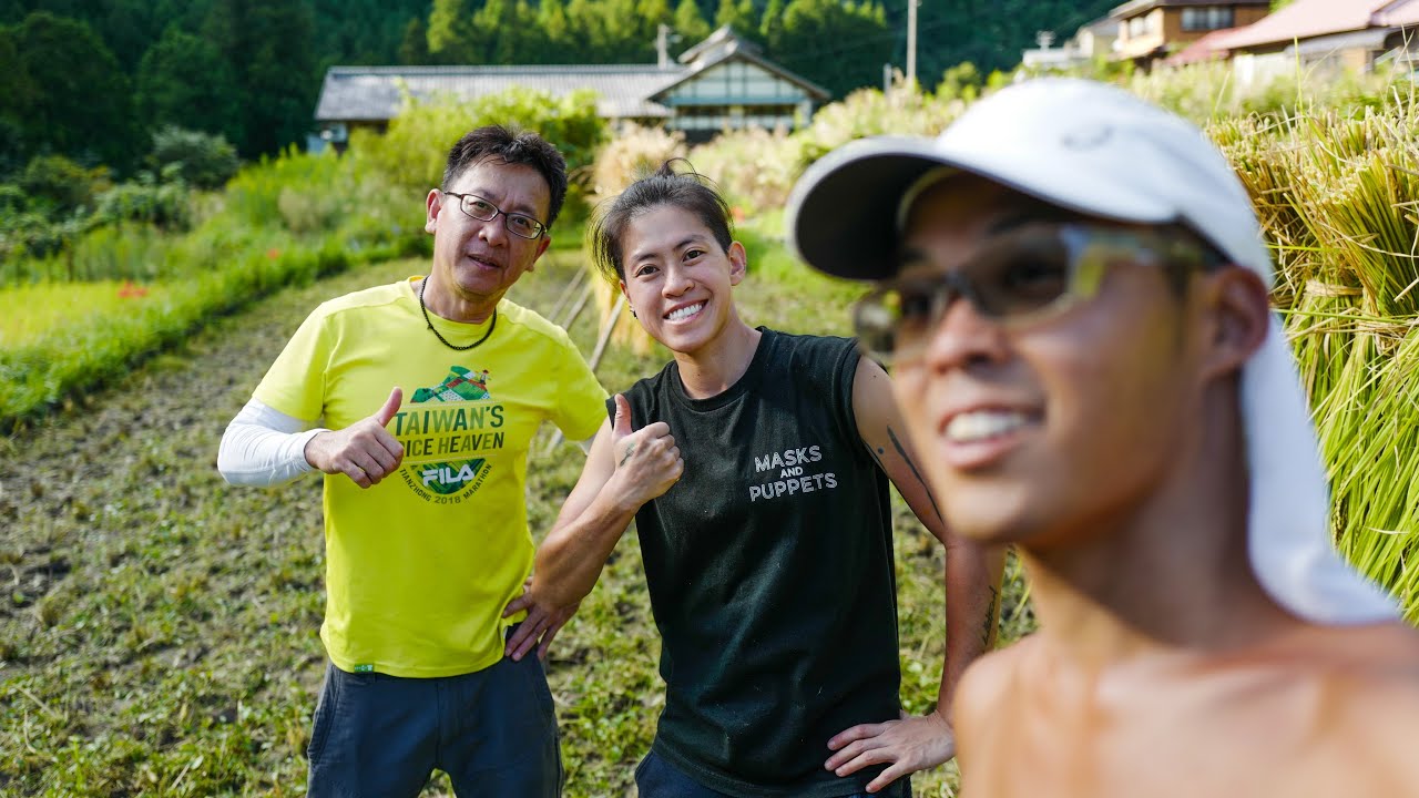 From Farm to Rice Cooker - It's Harvest Time