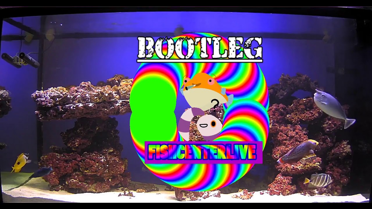 BOOTLEG FISHCENTERLIVE 30