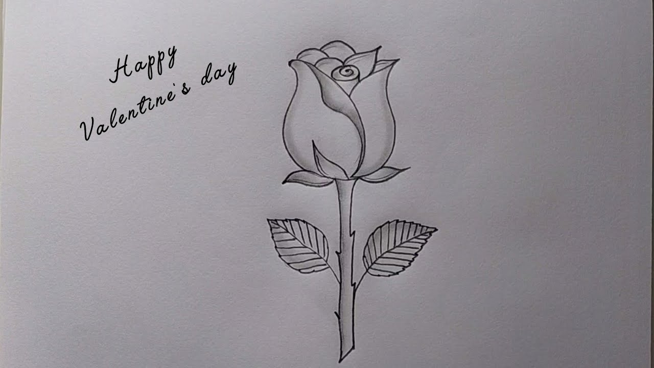 Easy way to draw Rose Bud| Happy Rose day drawing| Pencil drawing| Rose Flower drawing| Valentine's 