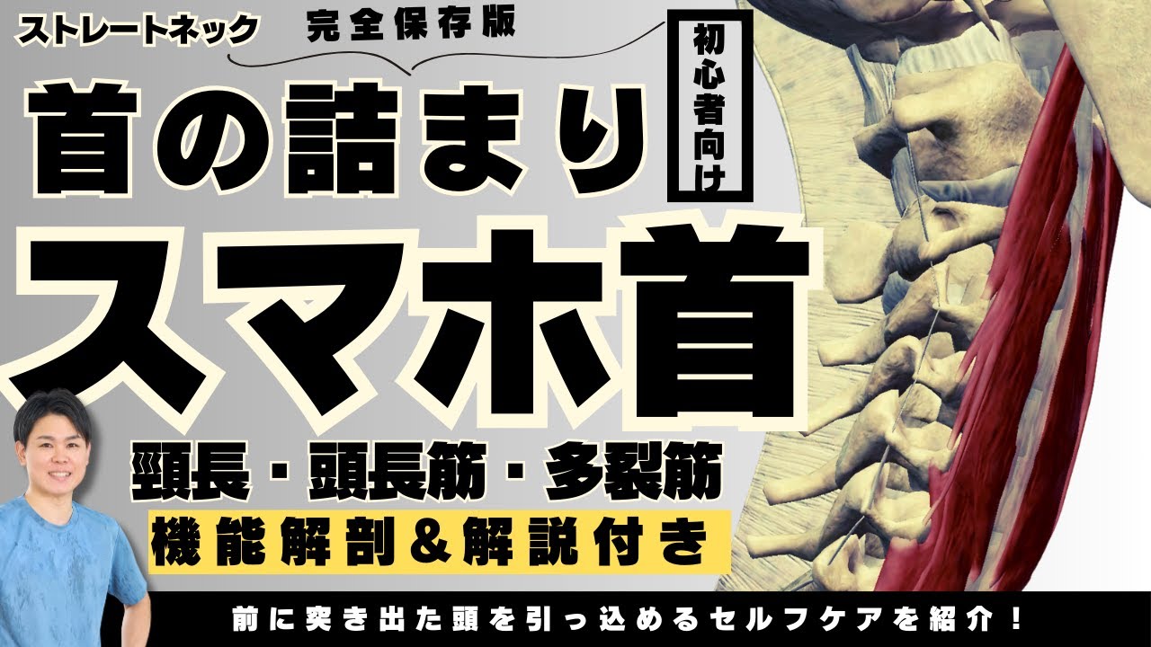 【ストレートネック・スマホ首】首の詰まりと痛みにも効果絶大！頸長筋・頭長筋・多裂筋トレーニング