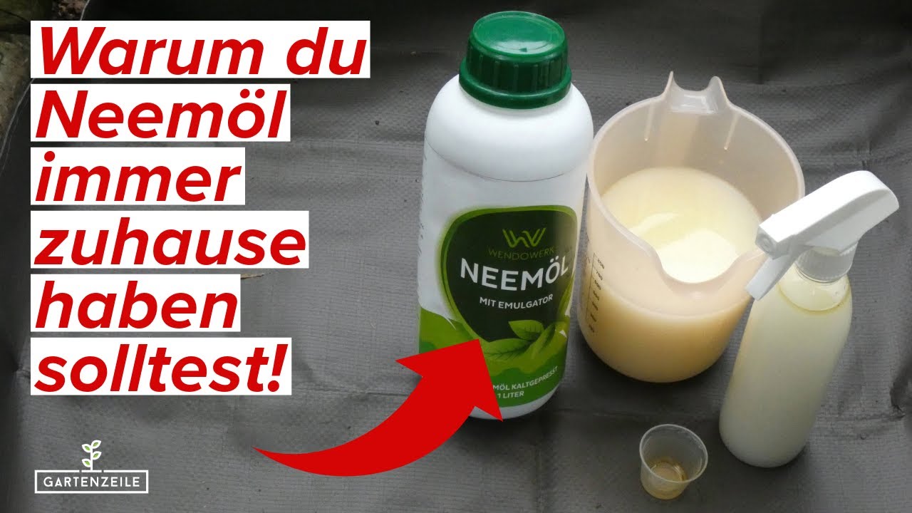 Warum du unbedingt Neemöl besitzen solltest - 8 Möglichkeiten Neemöl im Garten einzusetzen