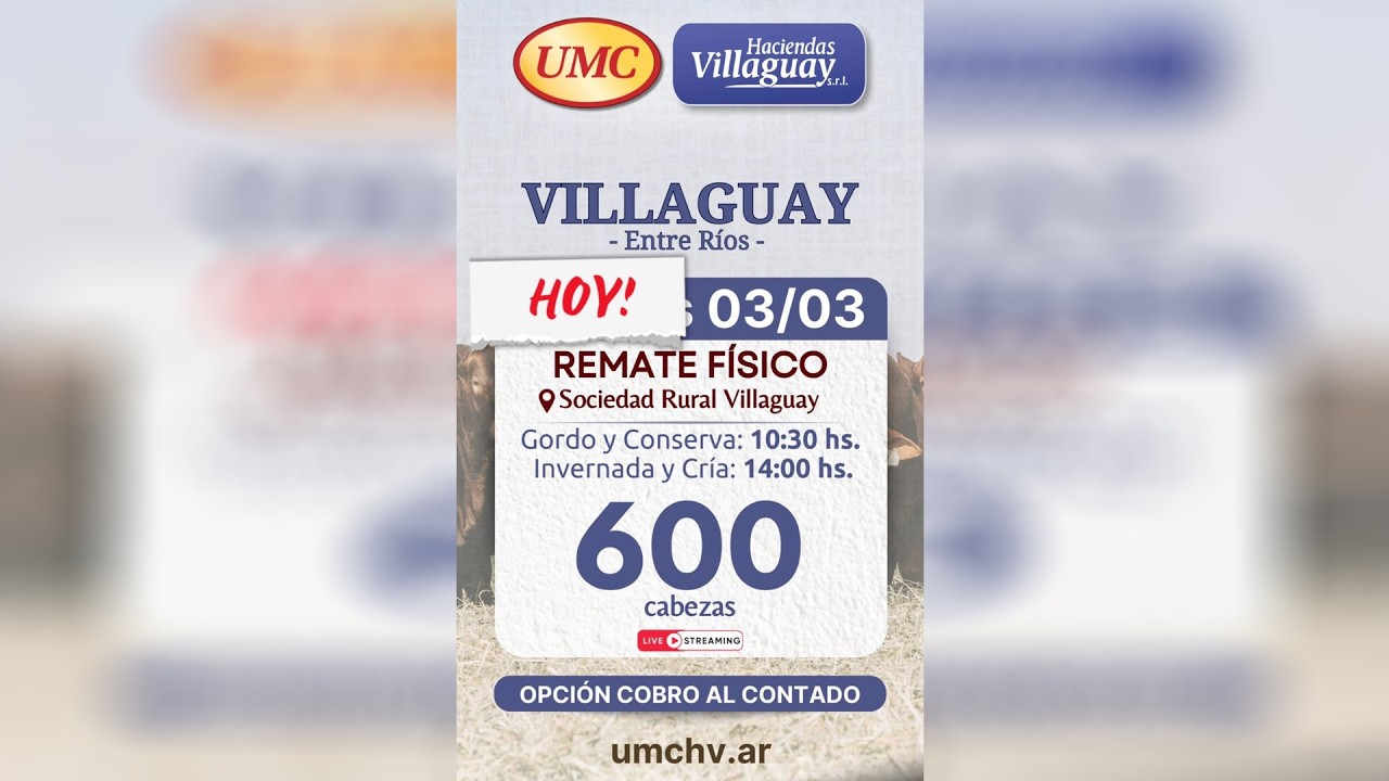 Villaguay (E.R.) - 600 cabezas