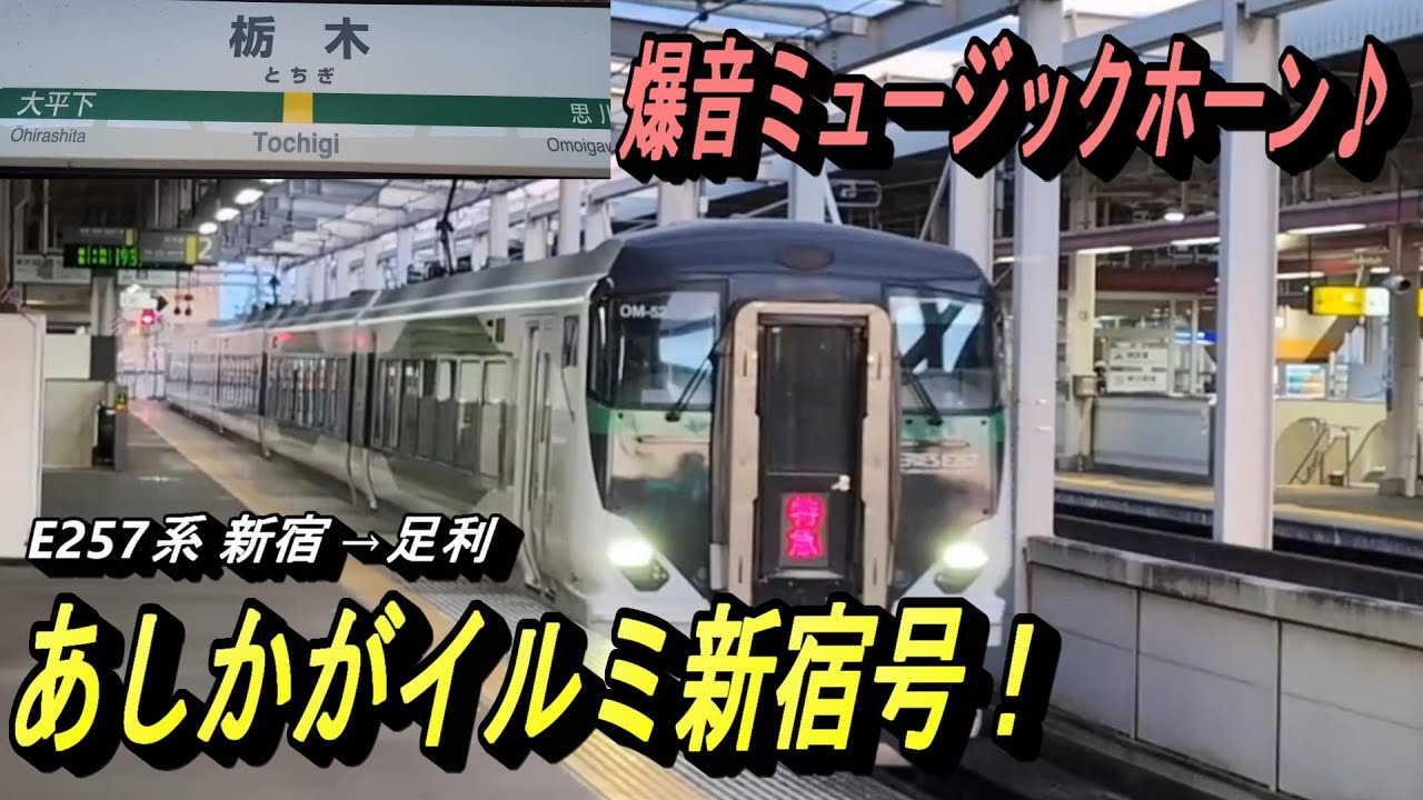 【駅のホームに響き渡るミュージックホーン あしかがイルミ新宿号】新宿駅から足利フラワーパークへ観光客を乗せたE257系がやって来た！