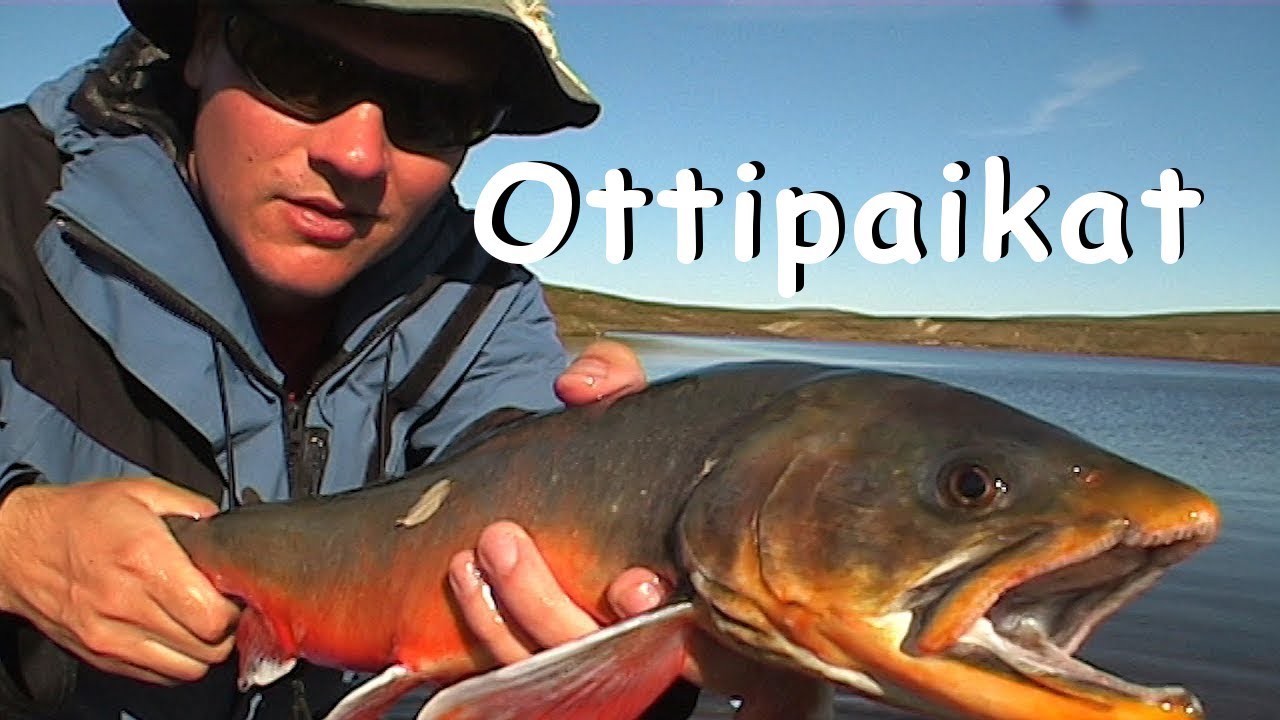 Best fishing spots!! Fly and spin fishing [ENG SUBS]