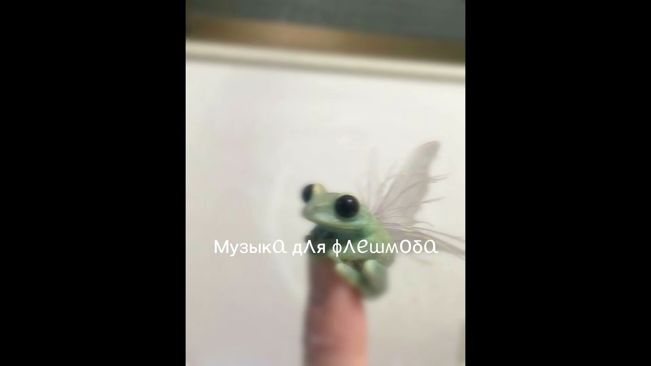 музыка для флешмоба ☕