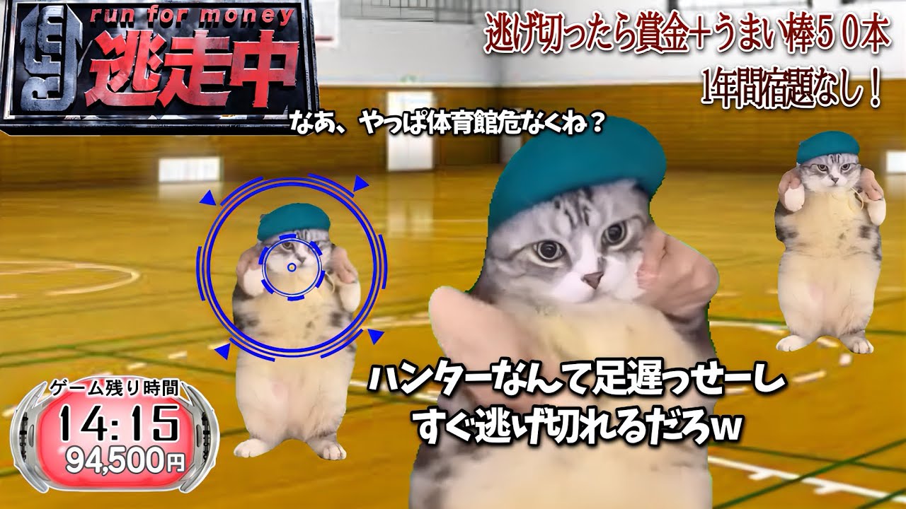 逃走中をすることになった猫たちの日常【猫ミーム】【猫マニ】