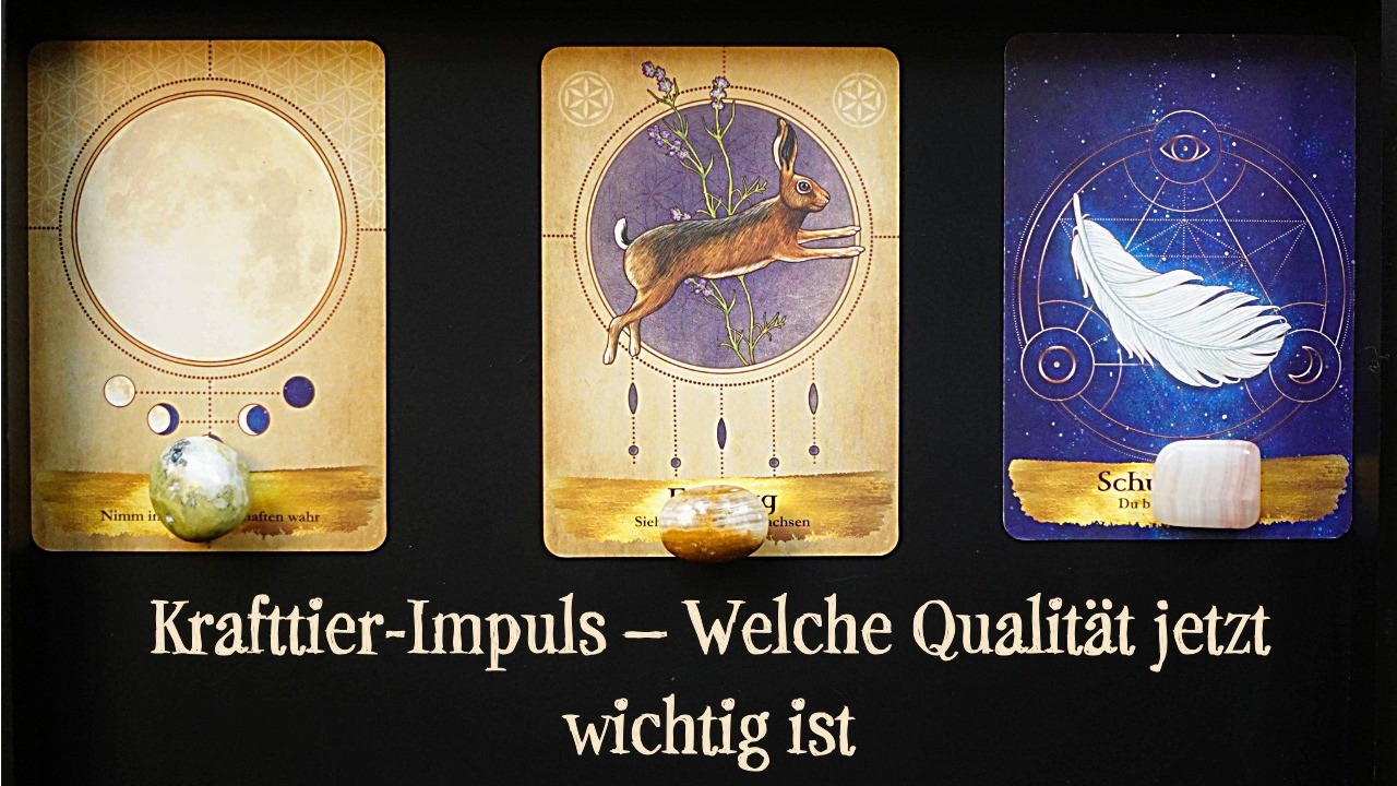 Krafttier-Reading – Botschaft & Integration einer Tier-Spirit-Energie| timeless