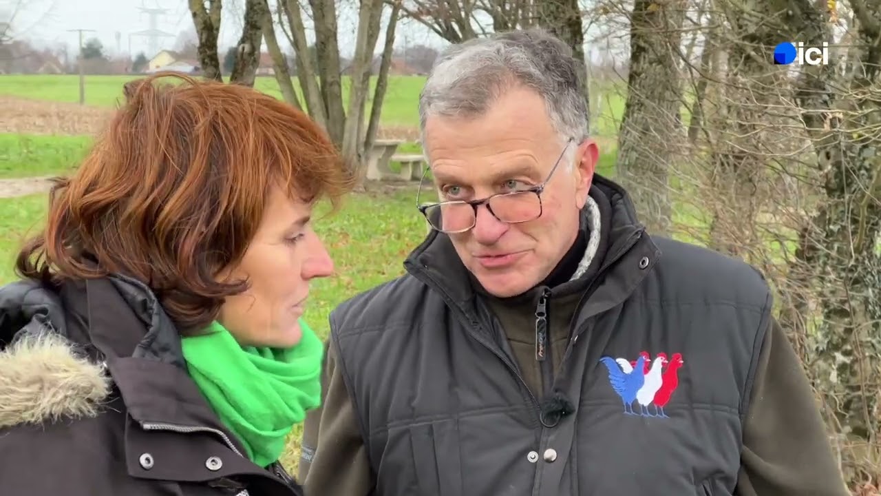 Ca se passe ici- L'épagneul de st Usuge, un chien de chasse et de compagnie