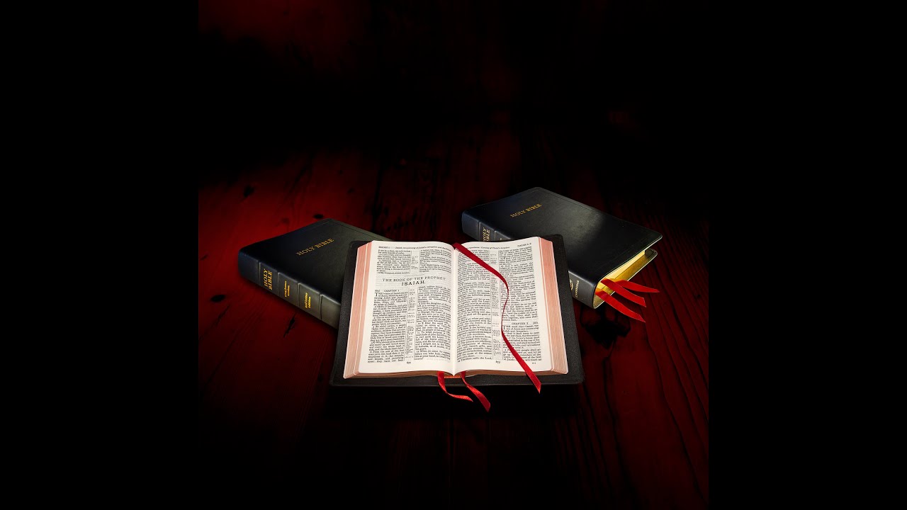 Bible Verse of the Day - John 8:34-36