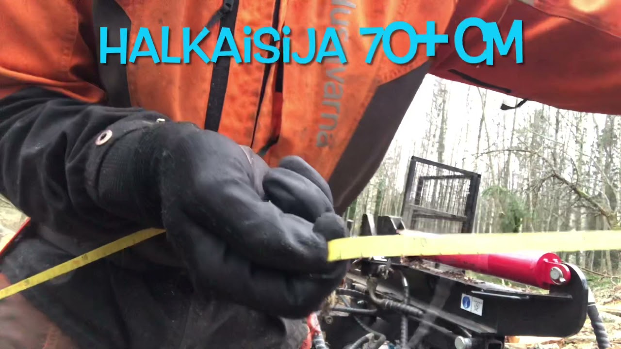 Järeän koivupöllin paloittelu Timco 22t halkomakoneella