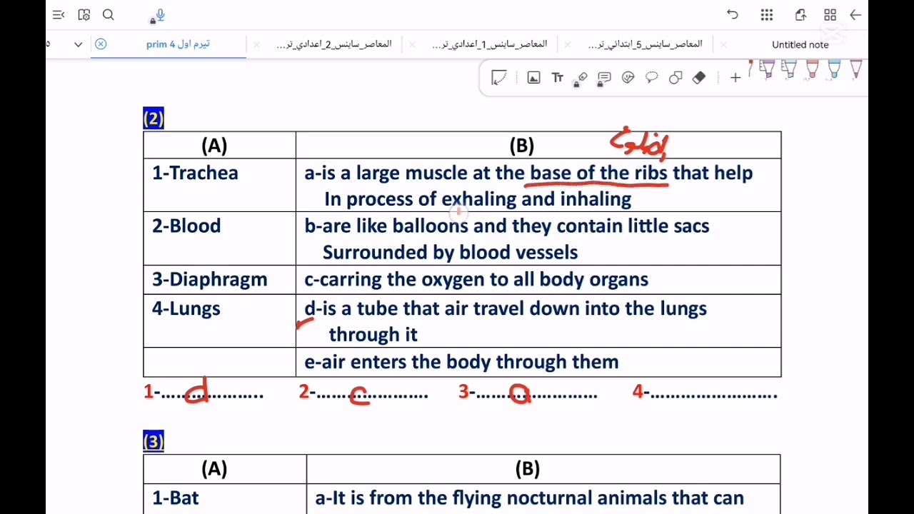 Science prim 4 final Revision part 2.          أهم الأسئلة المتوقعه في إمتحانك السنه دي 