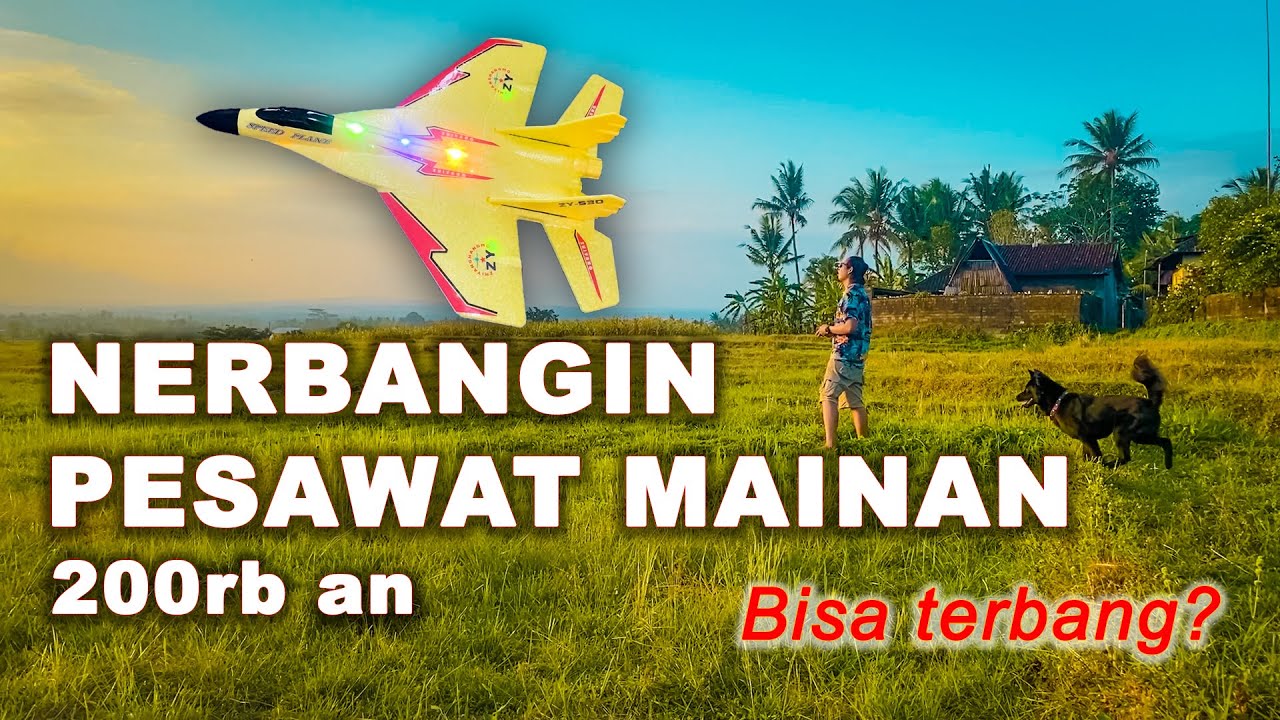 BEGINI Nerbangin Pesawat mainan 200 ribuan sama Gupi si anjing kintamani (Part 2)