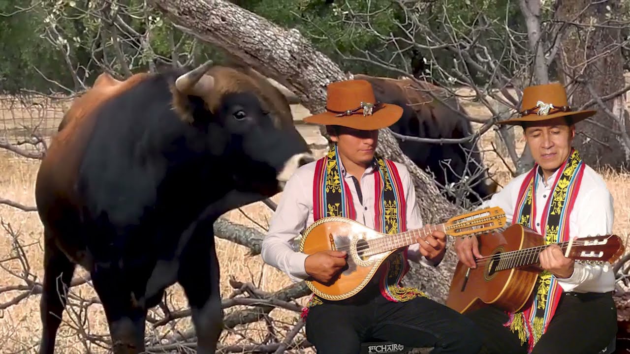 voz y sentimiento