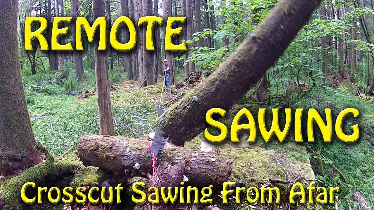 Remote Sawing