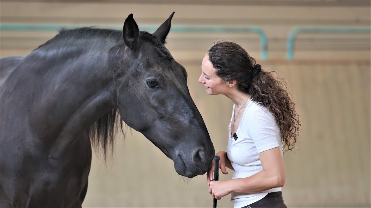 TALISMAN - Von starkem Losreiß-Problem bis zu Reiten am Halsring