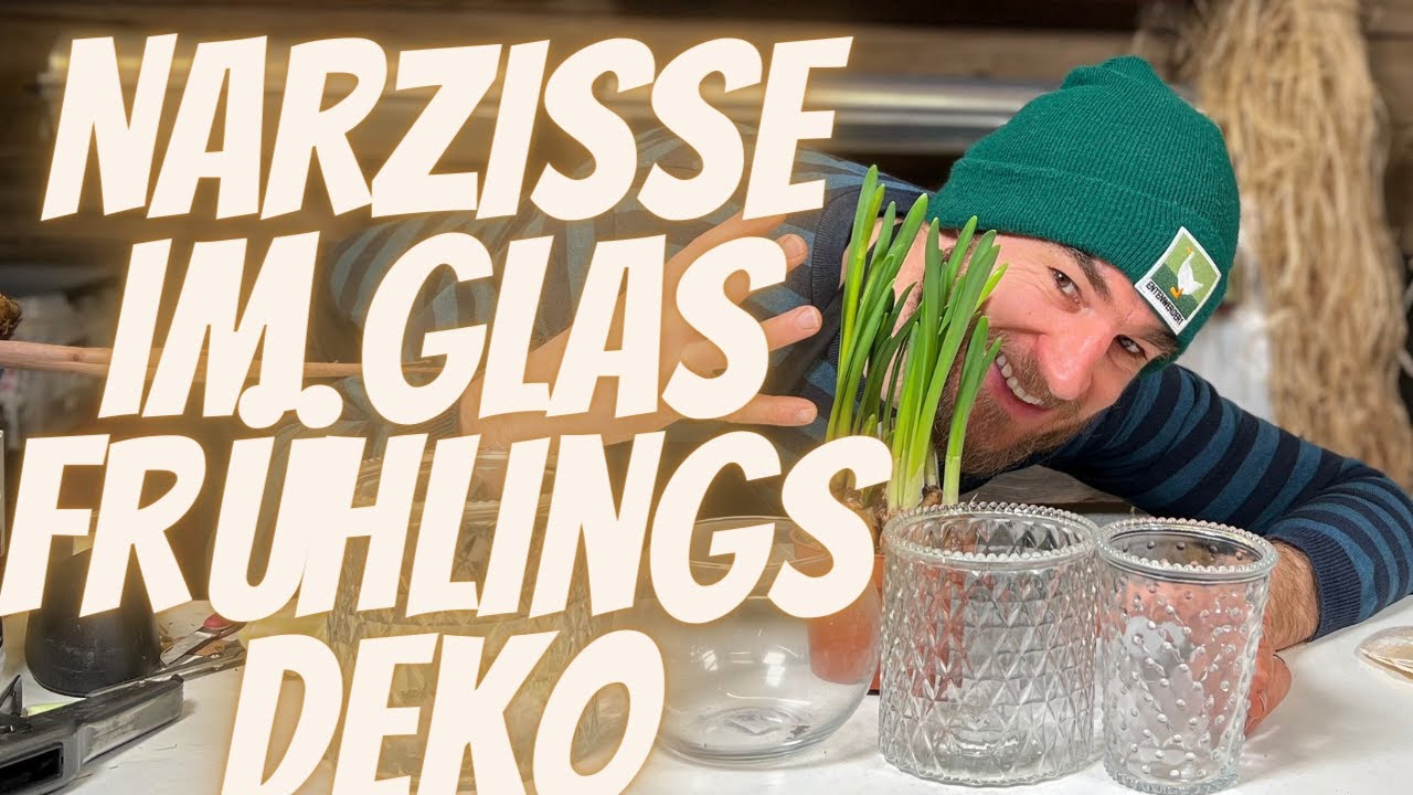 Frühlings Deko  im Glas - 4 Ideen mit Narzissen im Glas - Hole deine Gläser aus dem Keller