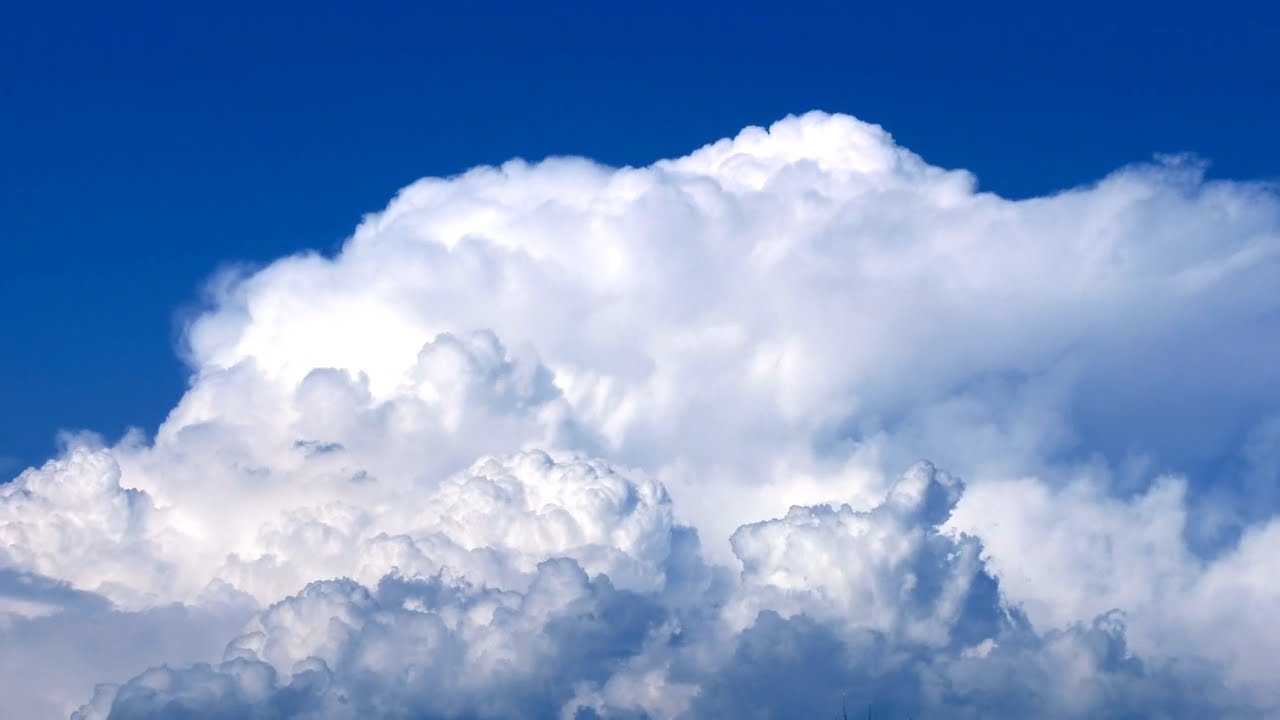 이 플리에서 샴푸 냄새나는 거 같아요