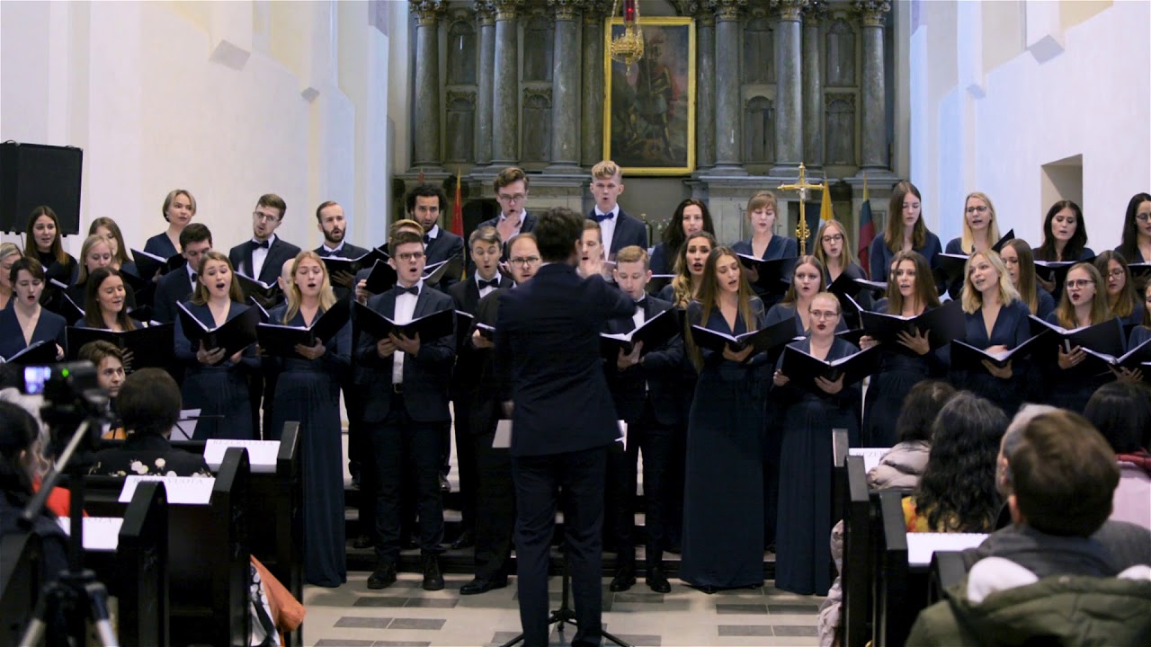 LSMU Akademinis choras Neris - Serenity